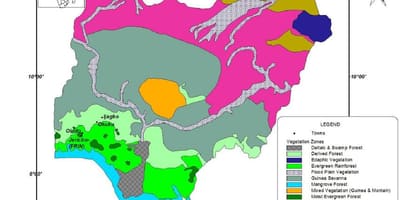 Kartes nigērijā, parādot veģetācijas